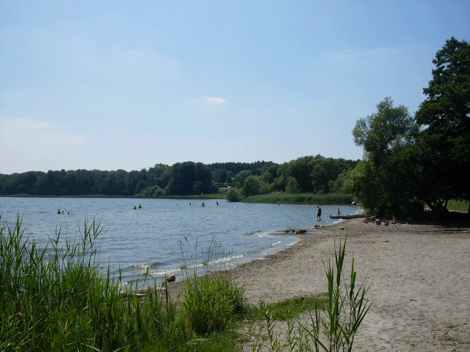 Tystrup Sø set fra bredden